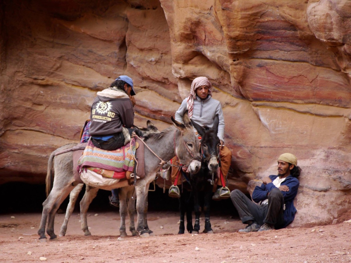 Horses waiting