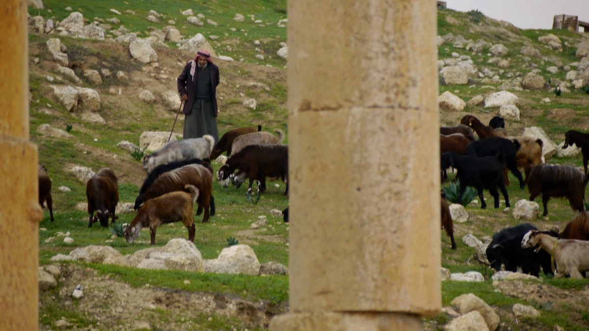 Between two columns, a shepherd and his herd